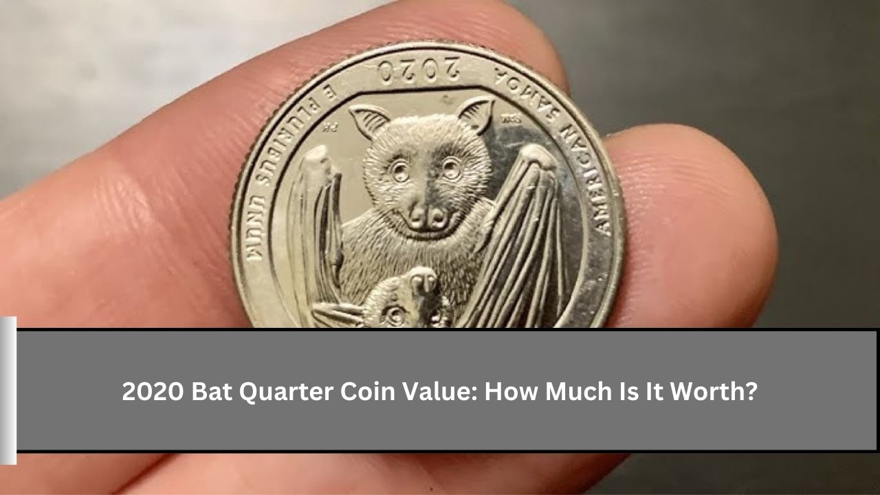 Bat Quarter