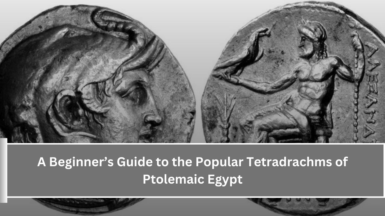 A Beginner’s Guide to the Popular Tetradrachms of Ptolemaic Egypt