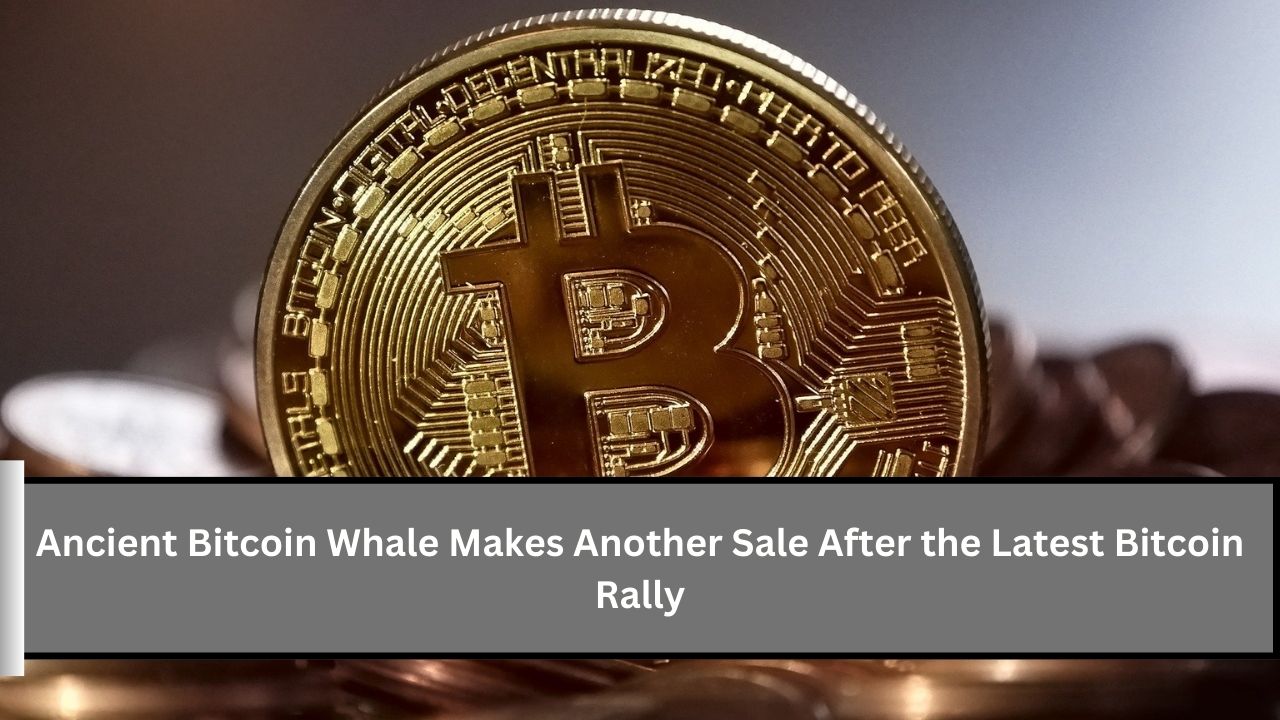 Ancient Bitcoin Whale Makes Another Sale After the Latest Bitcoin Rally