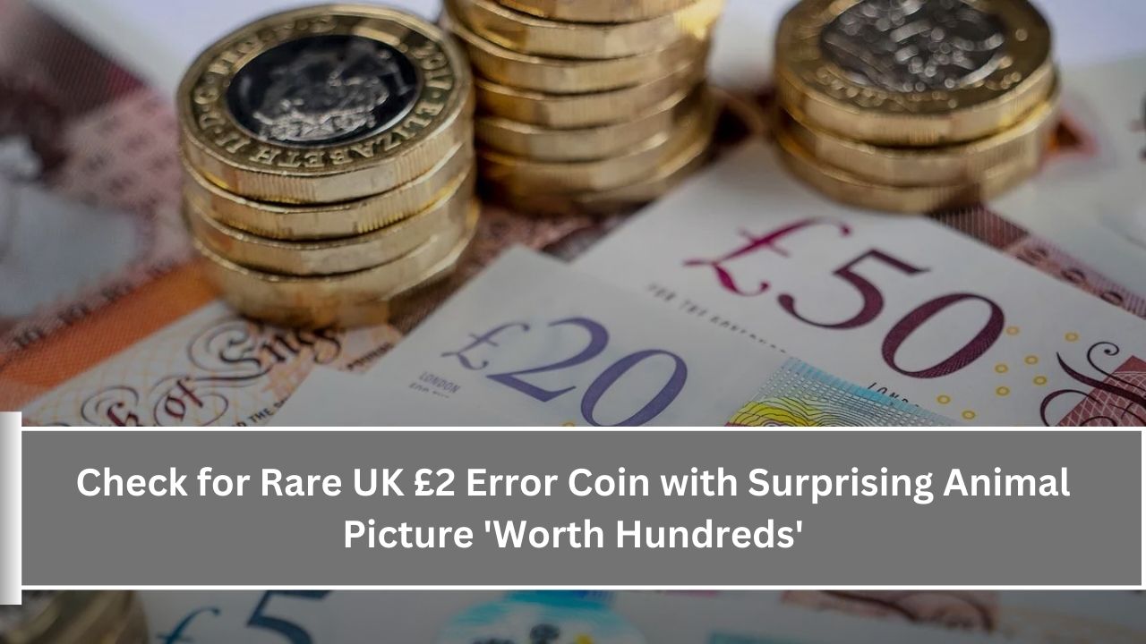 Check for Rare UK £2 Error Coin with Surprising Animal Picture 'Worth Hundreds'