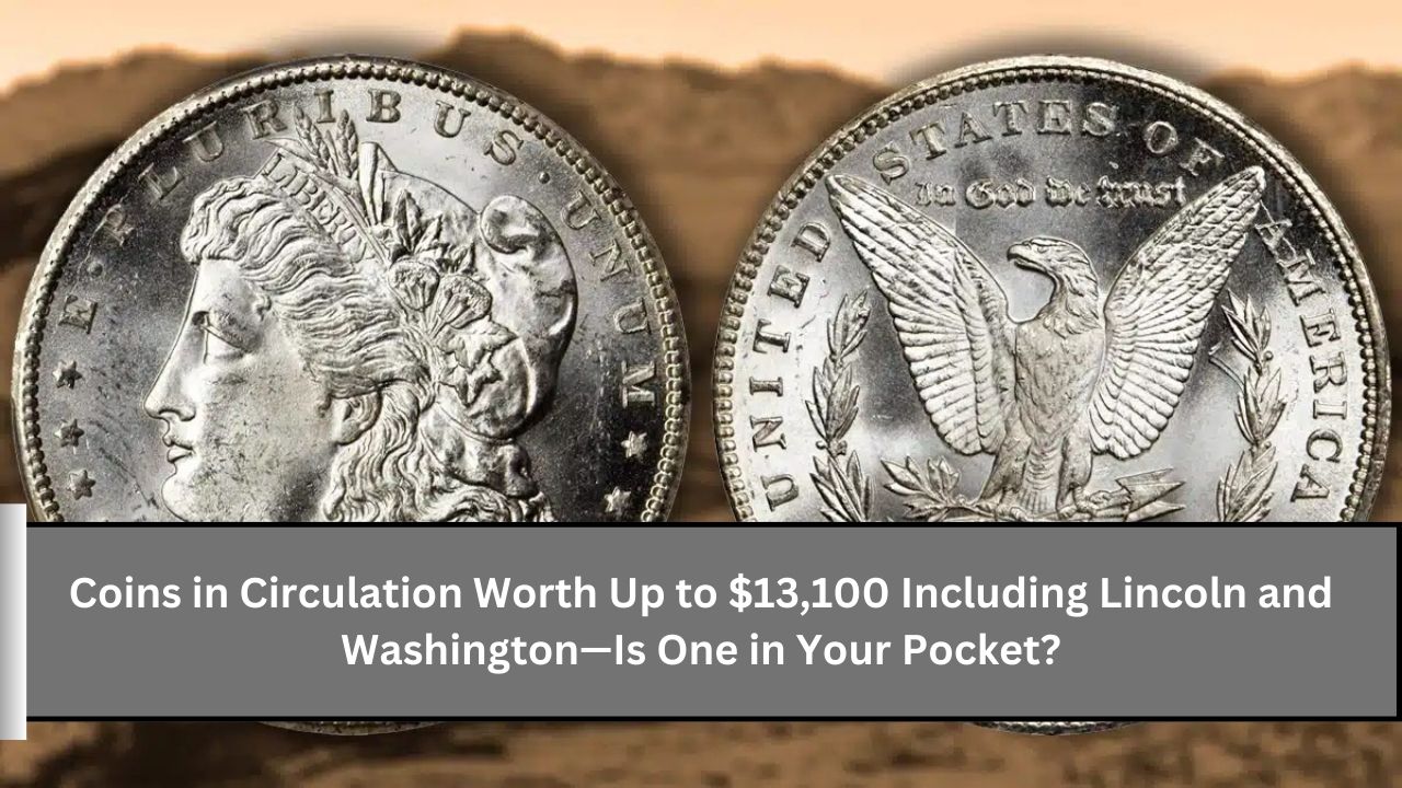 Coins in Circulation