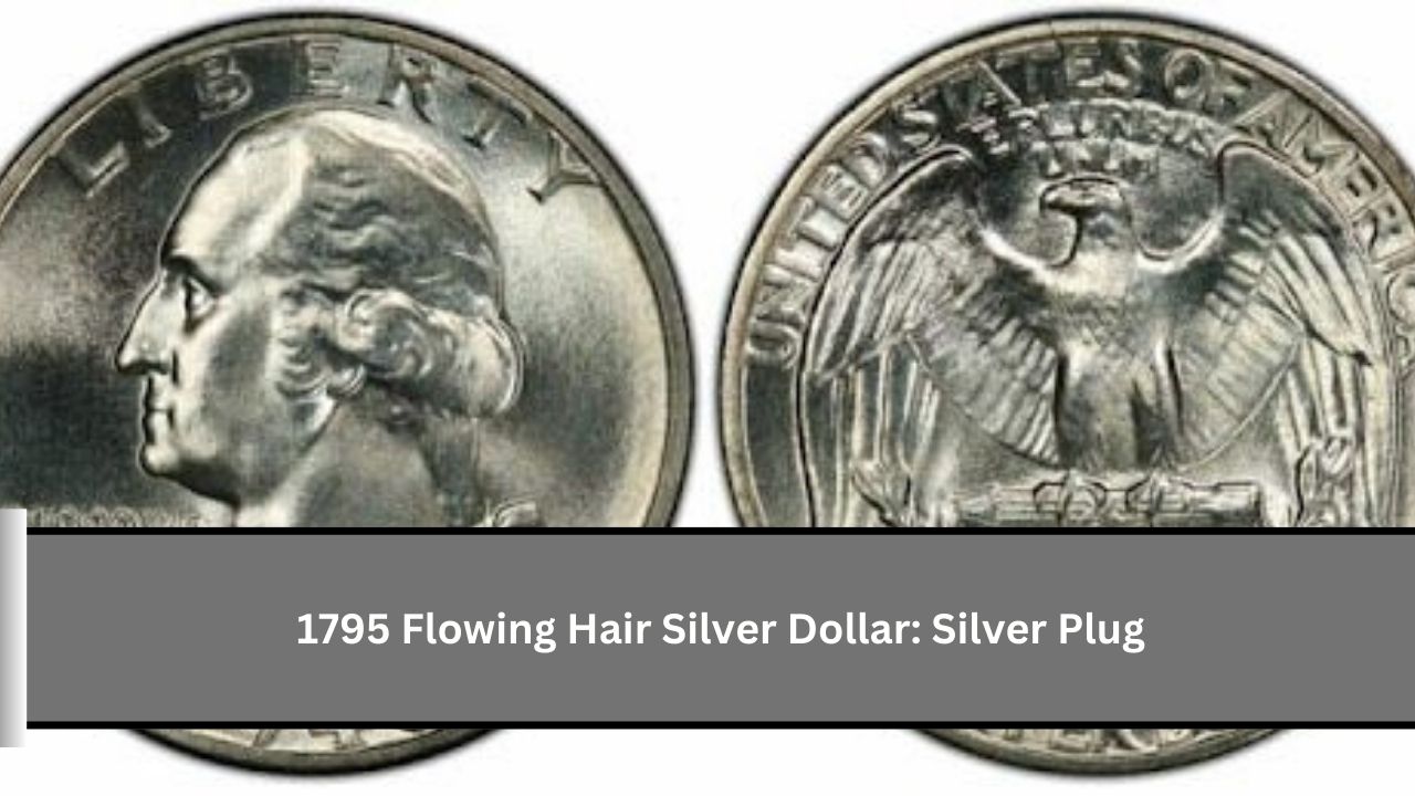 1795 Flowing Hair Silver Dollar: Silver Plug